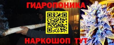 ПСИЛОЦИБИНОВЫЕ ГРИБЫ Тверь