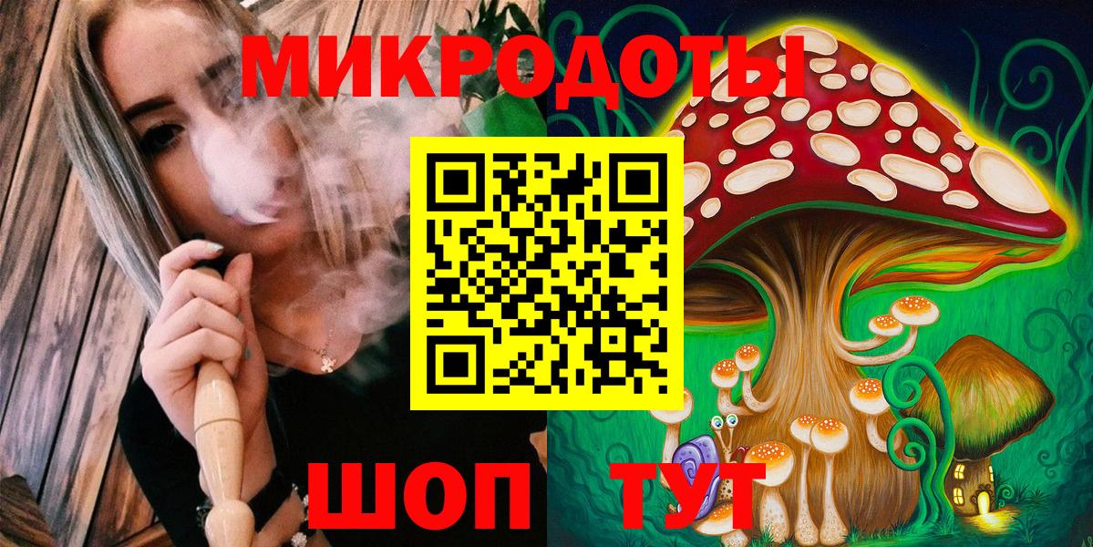 Псилоцибиновые грибы Psilocybe Новоалександровск