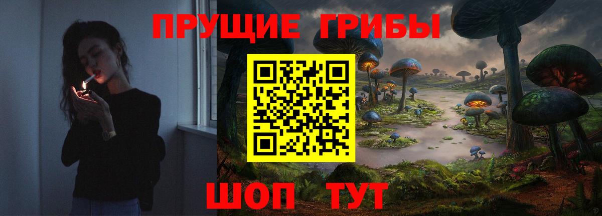 Новоалександровск  Галлюциногенные грибы мухоморы  Псилоцибиновые грибы ЛСД  Вход с VPN 